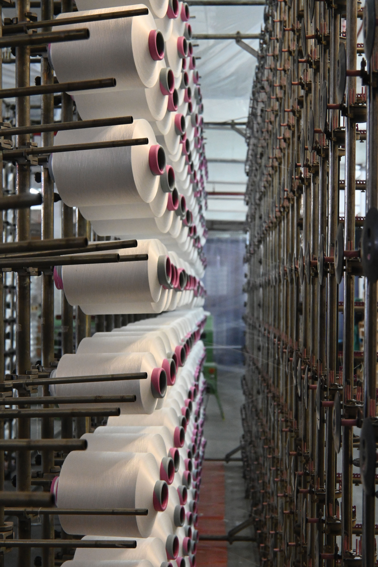 Rows of white yarn packages mounted on the creel ready for production